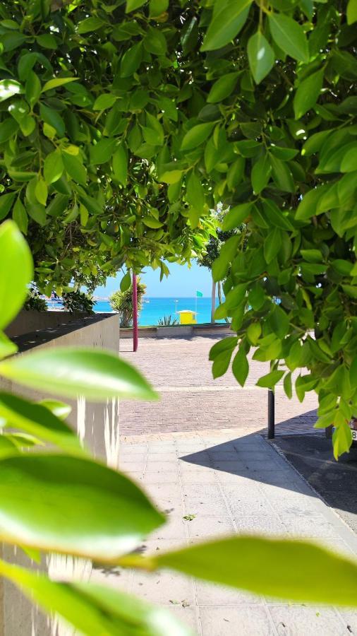 Fabelo Apartment, Puerto Del Rosario 푸에르토델로사리오 외부 사진